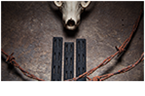 View the Gallery