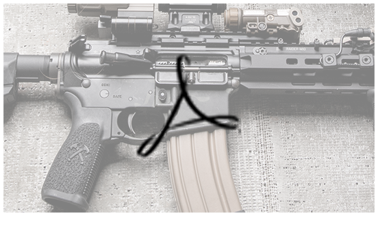 View the PDF